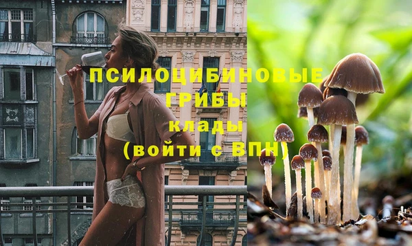 кокаин VHQ Богданович