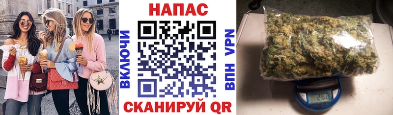 купить   Набережные Челны  Канабис SATIVA & INDICA 